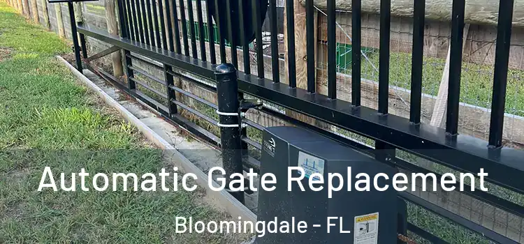  Automatic Gate Replacement Bloomingdale - FL