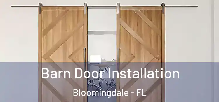 Barn Door Installation Bloomingdale - FL