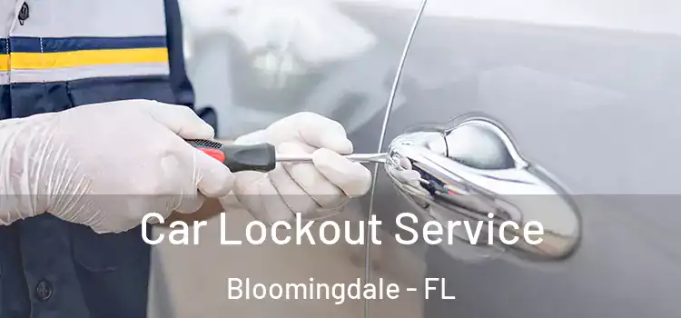 Car Lockout Service Bloomingdale - FL