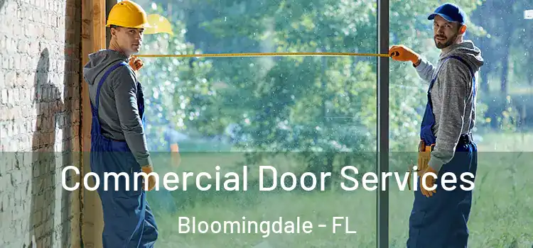 Commercial Door Services Bloomingdale - FL