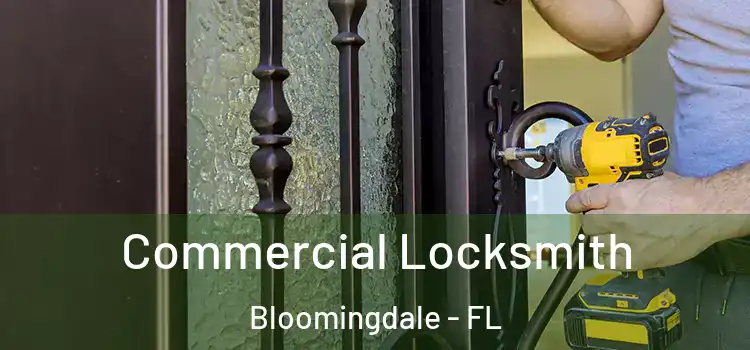 Commercial Locksmith Bloomingdale - FL