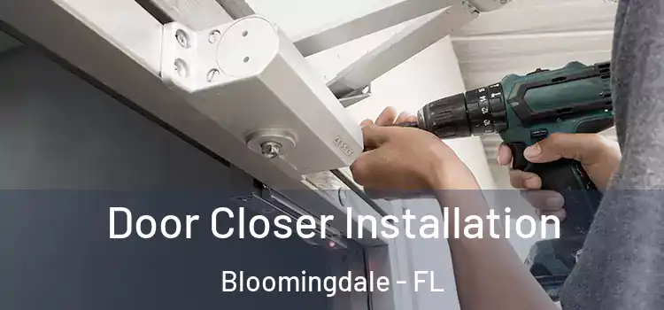 Door Closer Installation Bloomingdale - FL