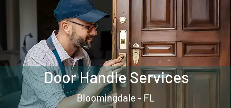 Door Handle Services Bloomingdale - FL