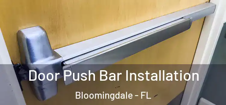 Door Push Bar Installation Bloomingdale - FL