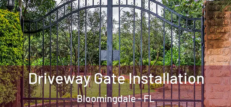 Driveway Gate Installation Bloomingdale - FL
