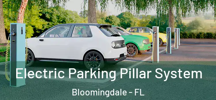  Electric Parking Pillar System Bloomingdale - FL