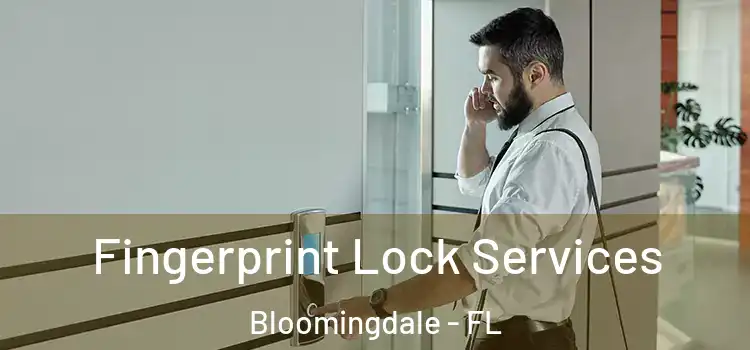 Fingerprint Lock Services Bloomingdale - FL