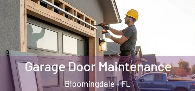 Garage Door Maintenance Bloomingdale - FL