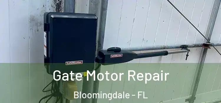 Gate Motor Repair Bloomingdale - FL
