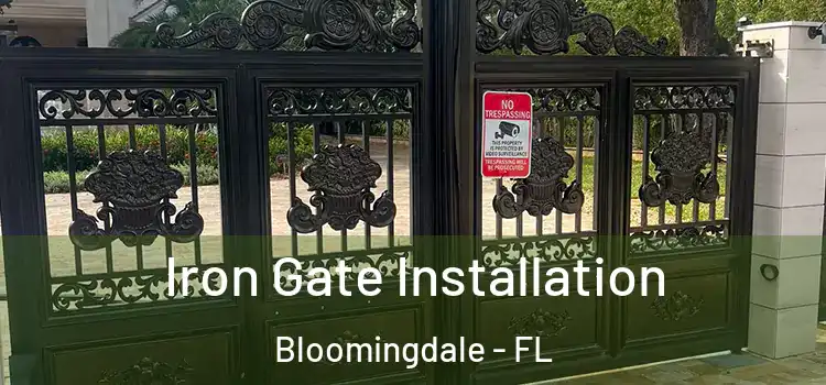 Iron Gate Installation Bloomingdale - FL