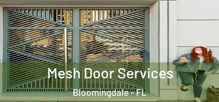 Mesh Door Services Bloomingdale - FL