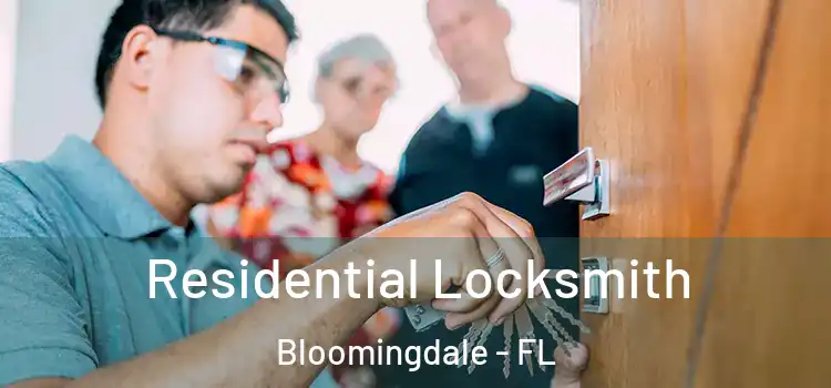 Residential Locksmith Bloomingdale - FL