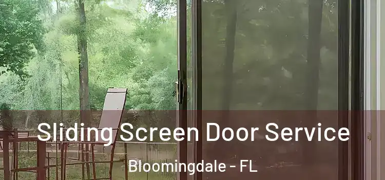 Sliding Screen Door Service Bloomingdale - FL